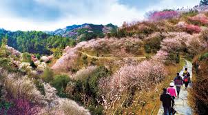 纺织辅料行业半无人直播破局秘籍：用会说话的汤姆猫2玩转绳网带货