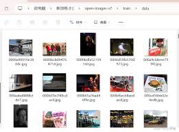 Construction_Decoration行业无人直播秘籍：用会说话的汤姆猫免费版撬动粉丝变现的实战指南